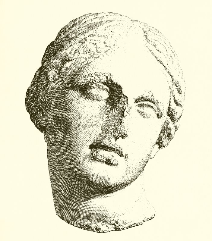 Head of Aphrodite by English School