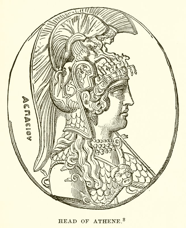 Head of Athena by English School