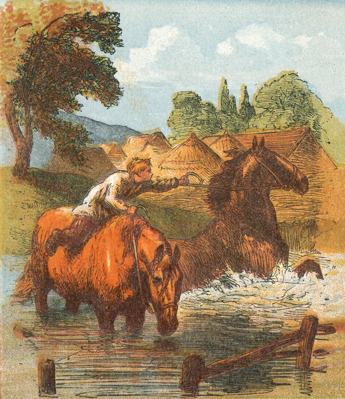 Horses Drinking in a Pond by English School