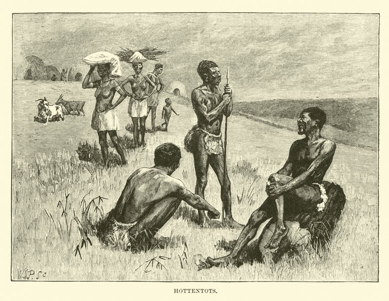Hottentots by English School