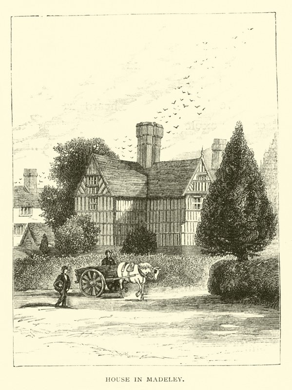 House in Madeley by English School