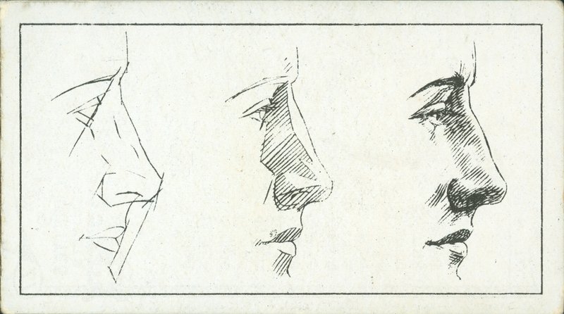 How to Sketch: The Nose by English School