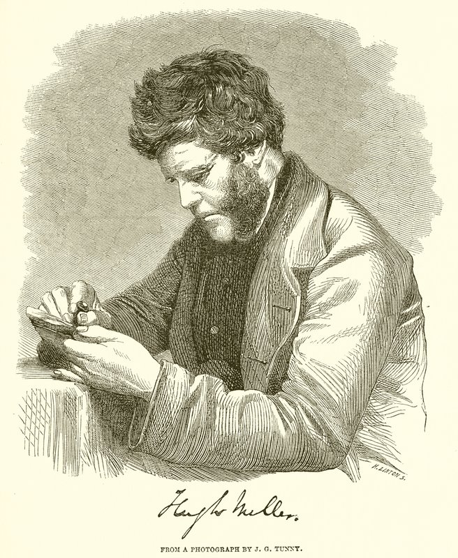Hugh Miller by English School