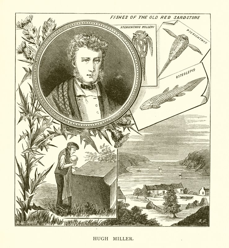 Hugh Miller by English School