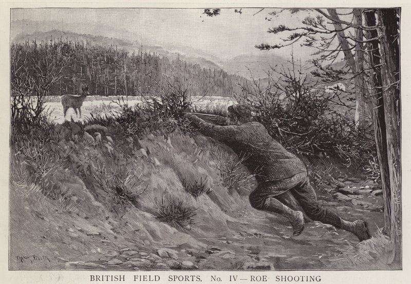 Hunter Shooting a Roe Deer by English School