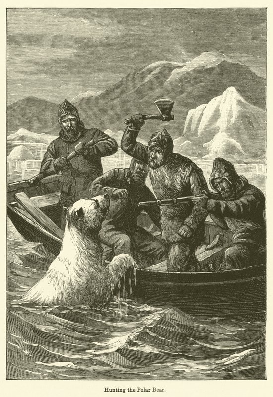 Hunting the Polar Bear by English School