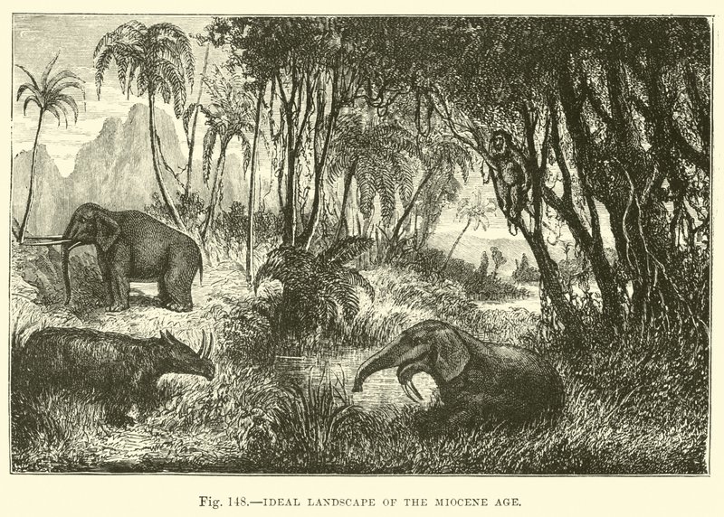 Ideal Landscape of the Miocene Age by English School