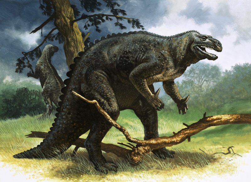 Iguanodon by English School