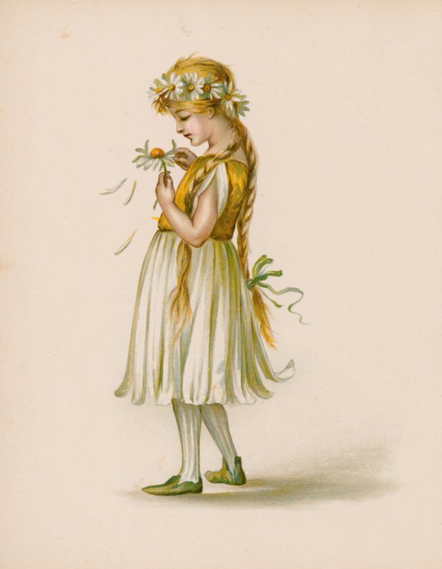 Illustration for The Language Of Flowers by English School