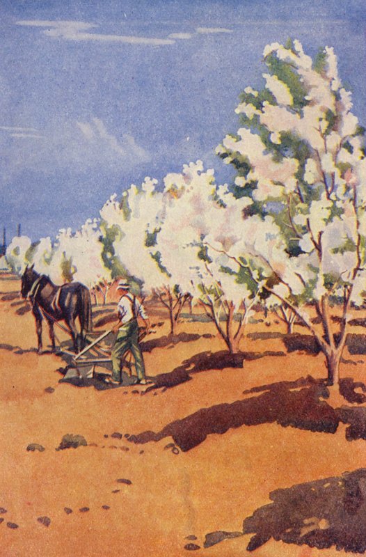 In a Canadian Orchard by English School
