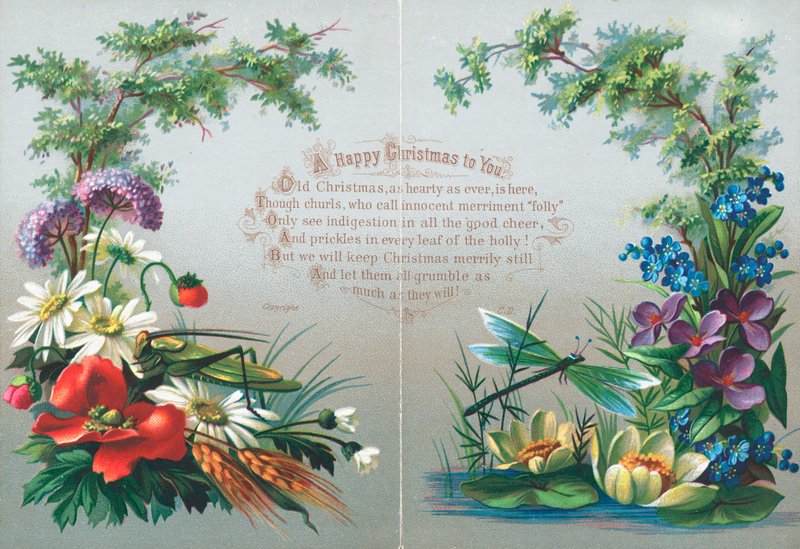 Insects and Flowers by English School