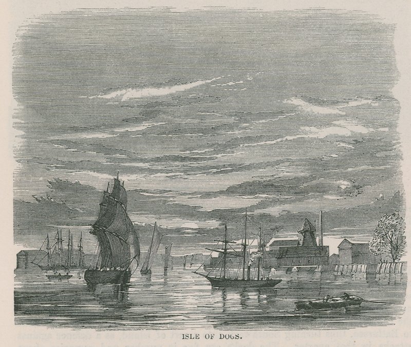 Isle of Dogs by English School