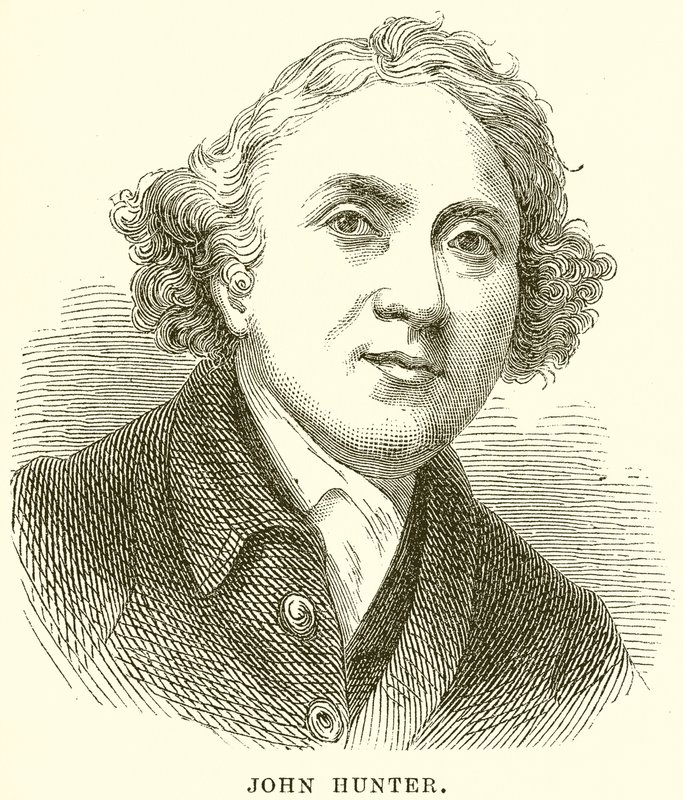 John Hunter by English School