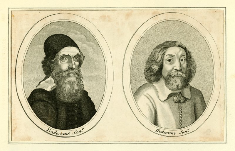 John Tradescant, Senior and Junior by English School