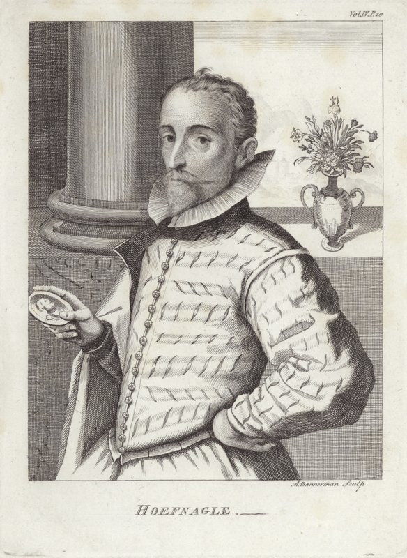 Joris Hoefnagel by English School