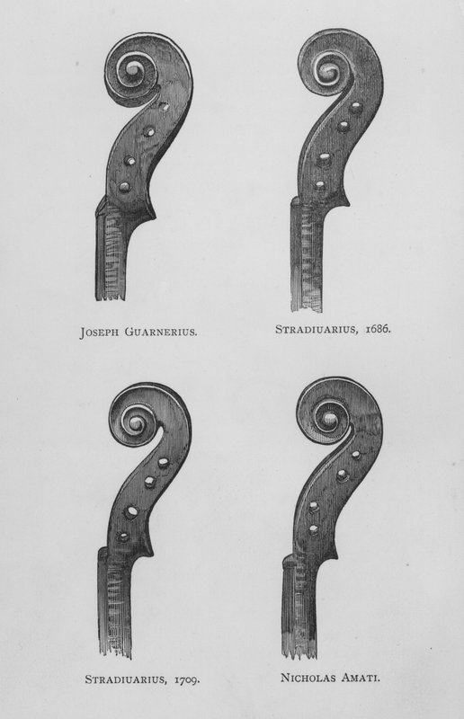 Joseph Guarnerius; Stradivarius by English School