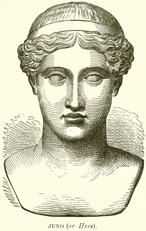 Juno (or Here) by English School