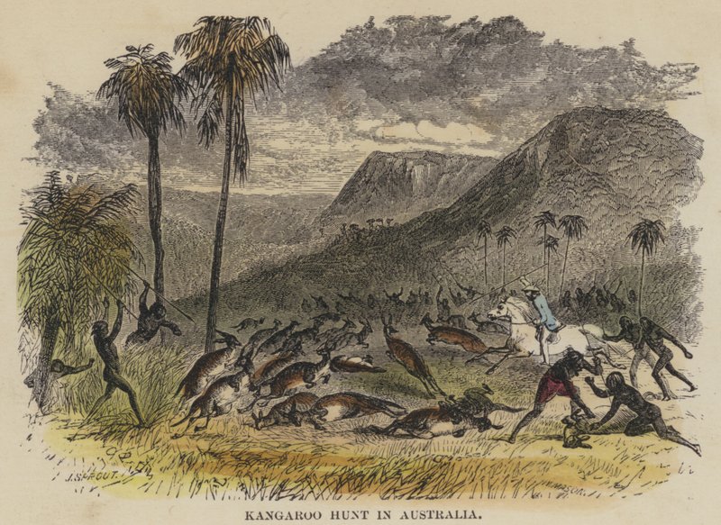Kangaroo Hunt in Australia by English School