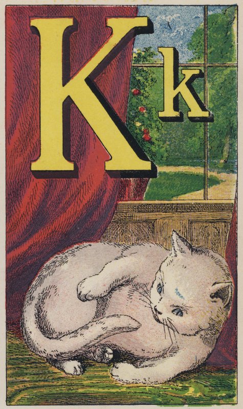 Kitten by English School