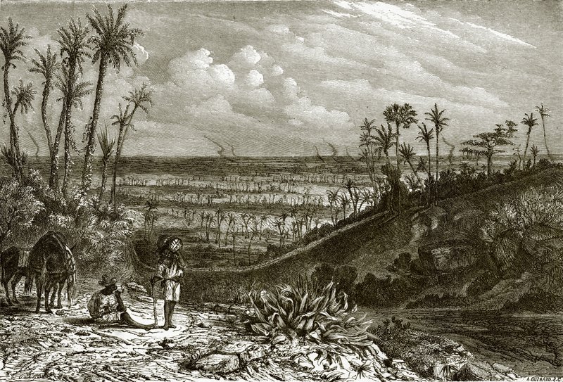 Landscape in the Island of Cuba by English School