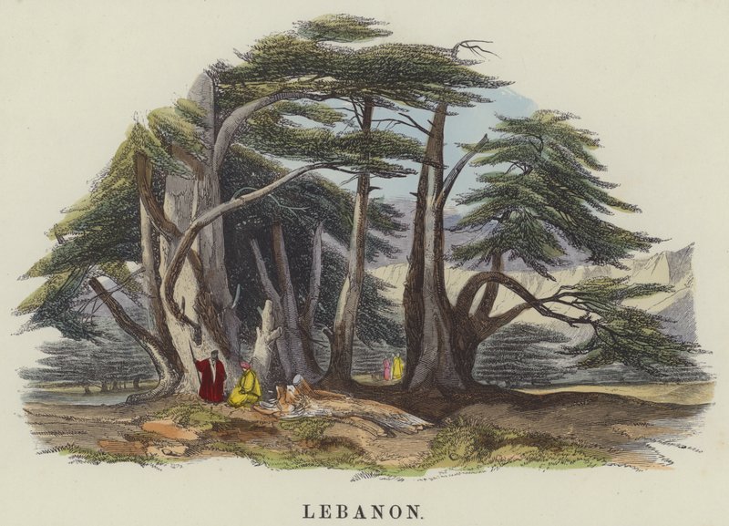 Lebanon by English School