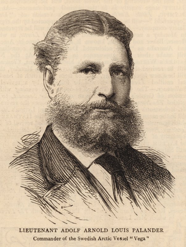 Lieutenant Adolf Arnold Louis Palander by English School