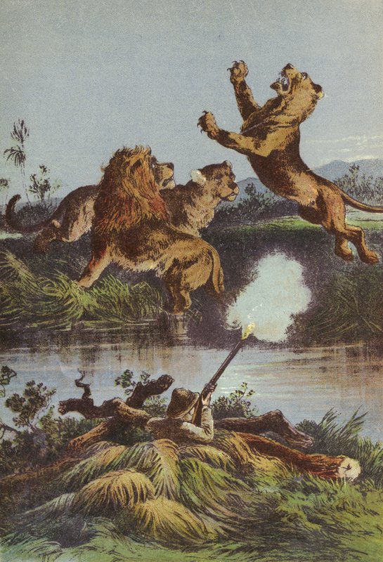 Lion hunting at night by English School