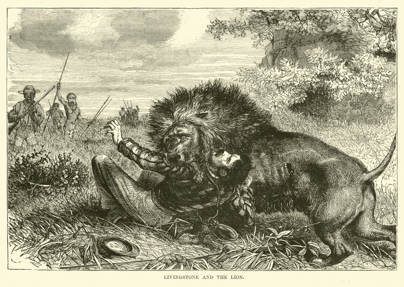 Livingstone and the Lion by English School
