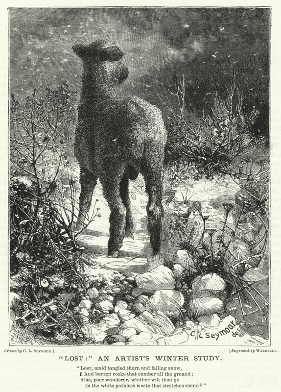 Lost, an Artist