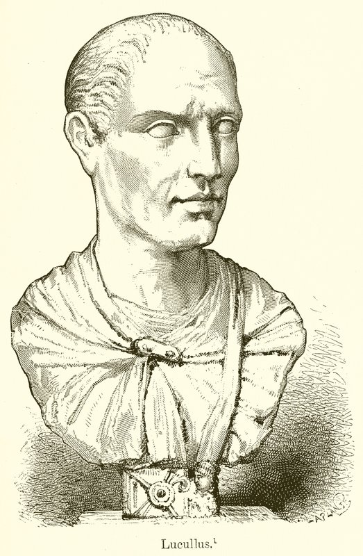 Lucullus by English School