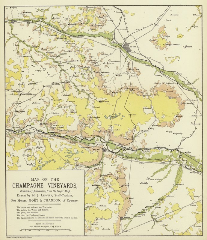 Map of the Champagne Vineyards by English School