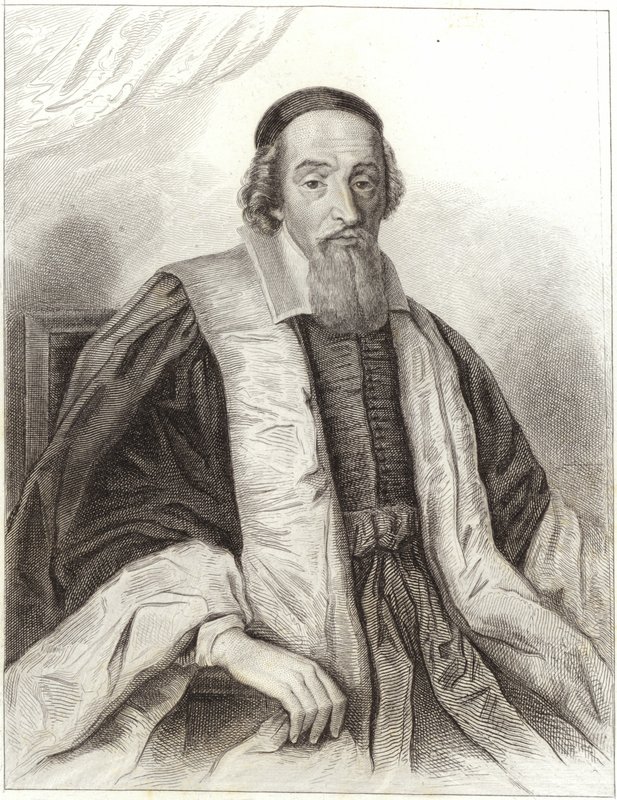 Mathieu Mole by English School