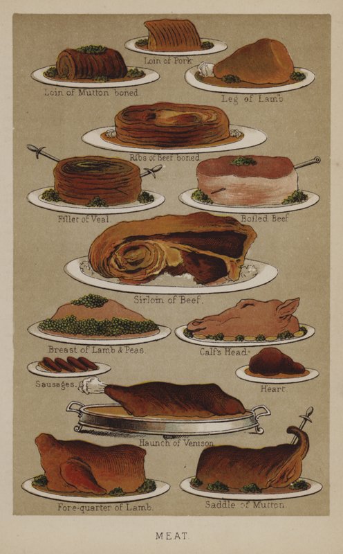 Meat by English School