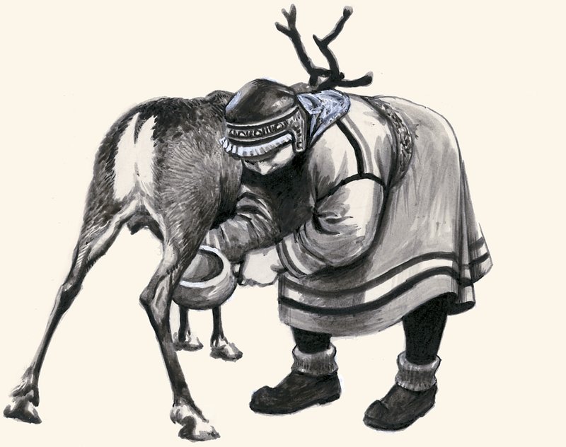 Milking a Reindeer by English School