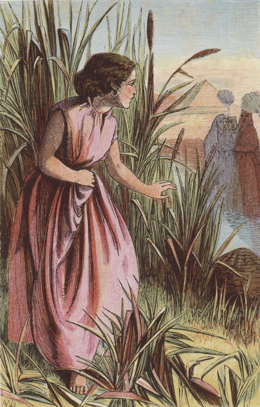 Miriam Watching the Ark by English School
