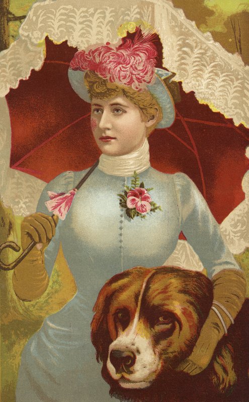 Miss Mary Anderson by English School