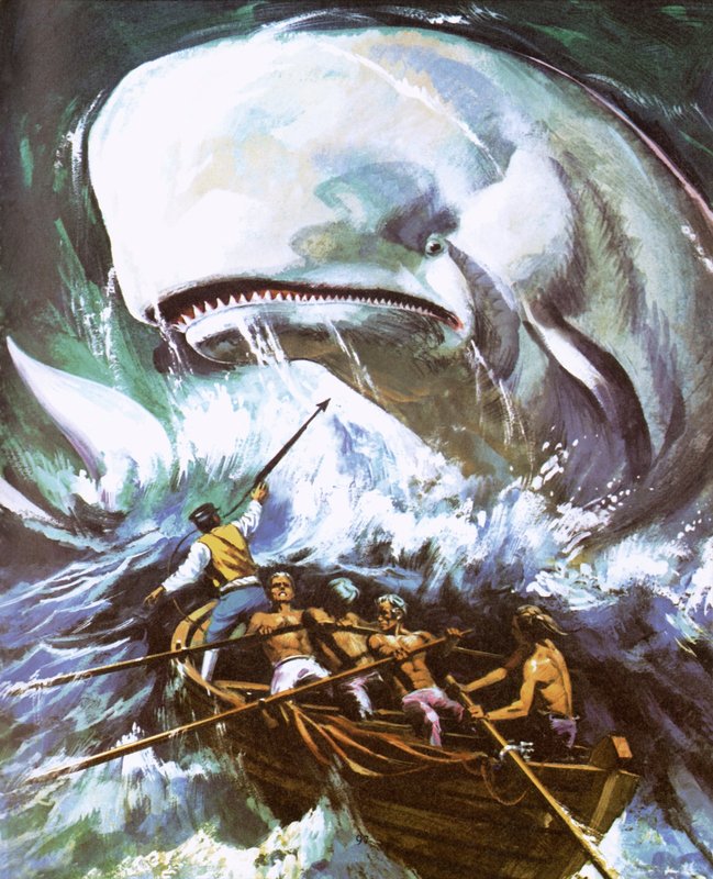 Moby Dick by English School