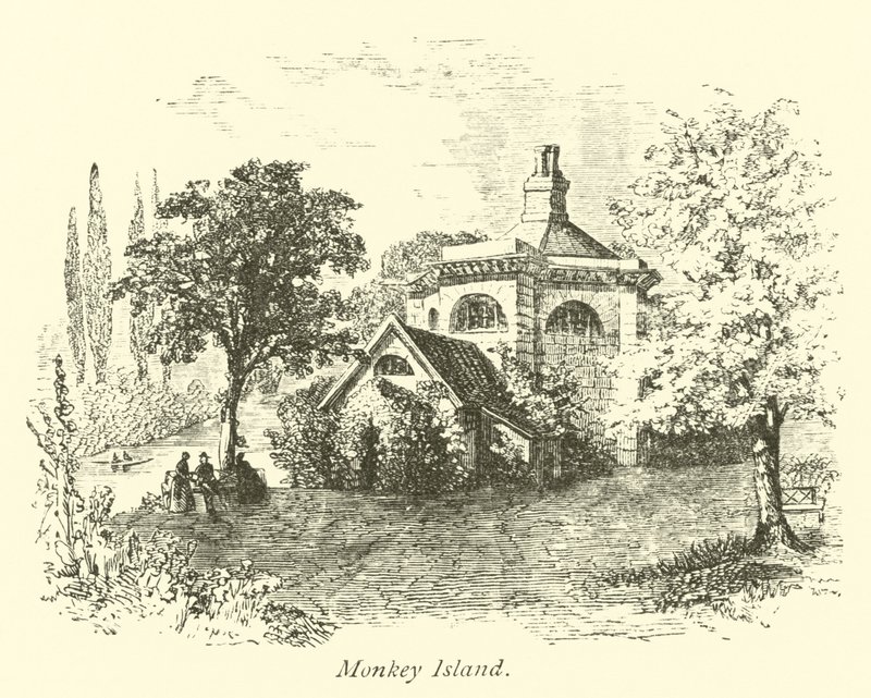 Monkey Island by English School