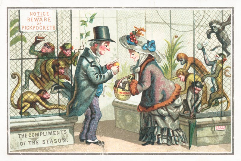 Monkey pickpockets at the zoo by English School