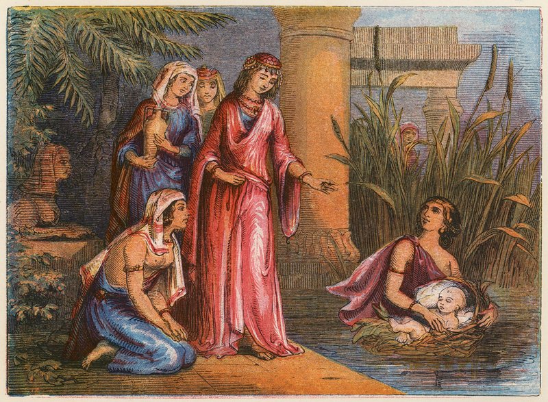 Moses in the Bulrushes by English School