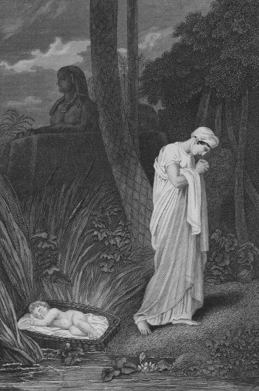 Moses left in the Bullrushes (engraving) by English School