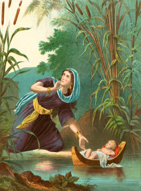 Moses sent away in the ark by English School