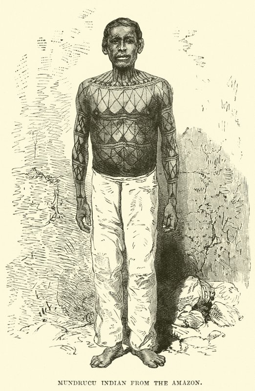 Mundrucu Indian from the Amazon by English School