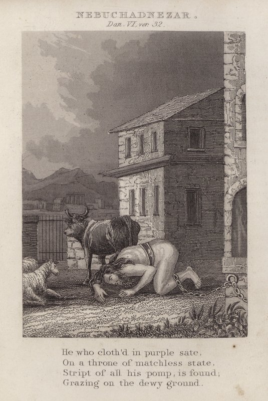 Nebuchadnezzar, Daniel 6:32 by English School