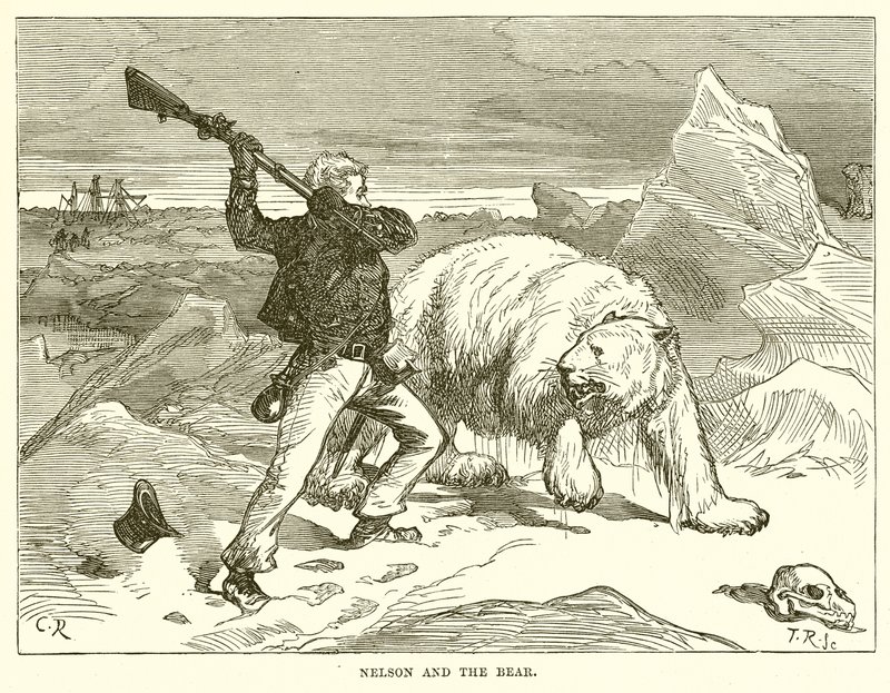 Nelson and the Bear by English School