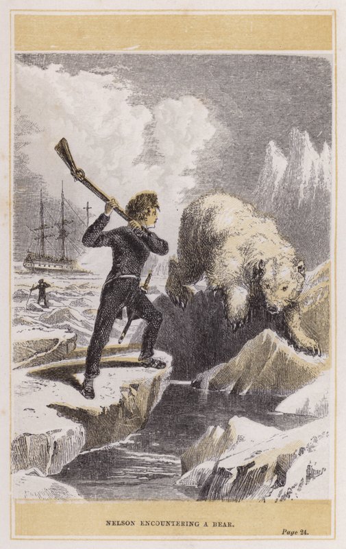 Nelson encountering a bear by English School