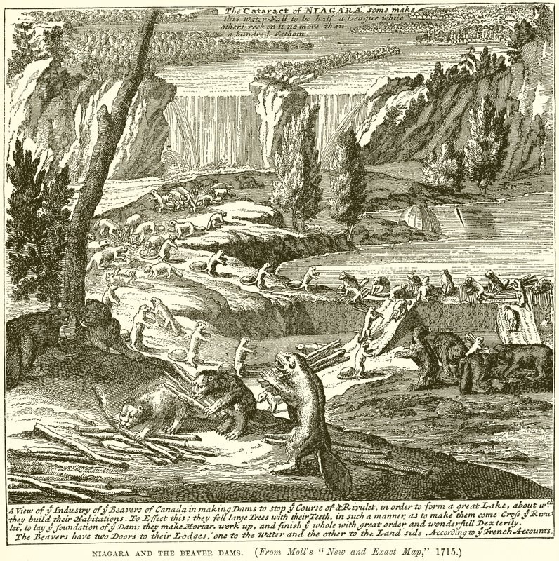 Niagara and the Beaver Dams by English School