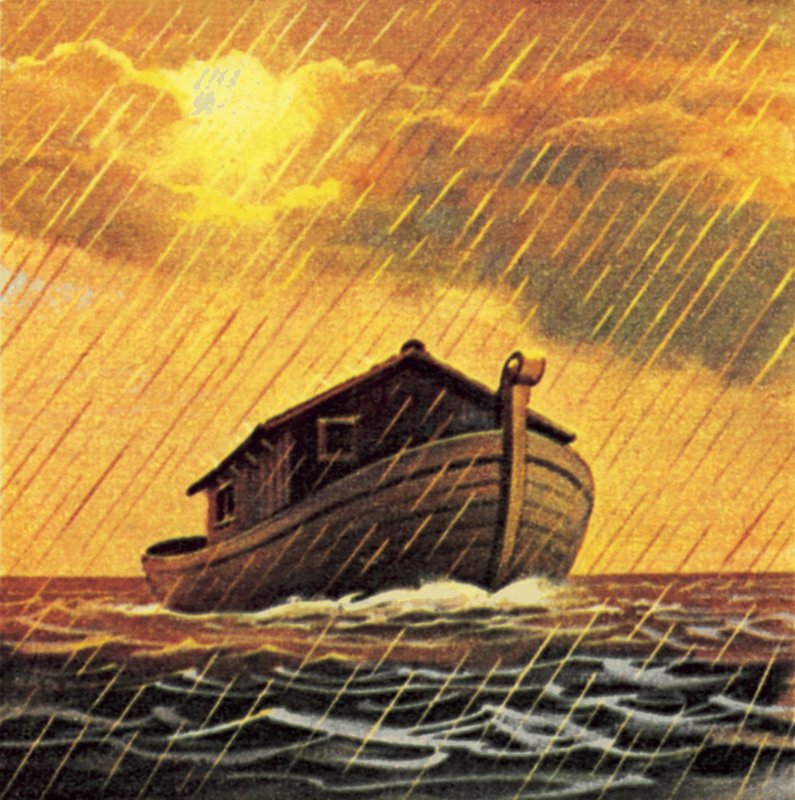 Noah