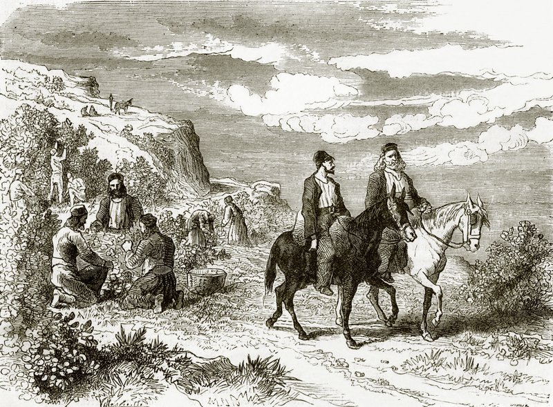 Nut-gathering on mount Athos by English School