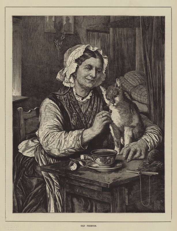 Old Friends by English School